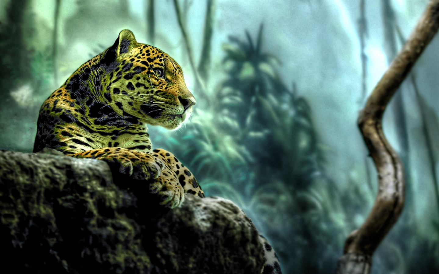 Leopard - Desktop Wallpaper