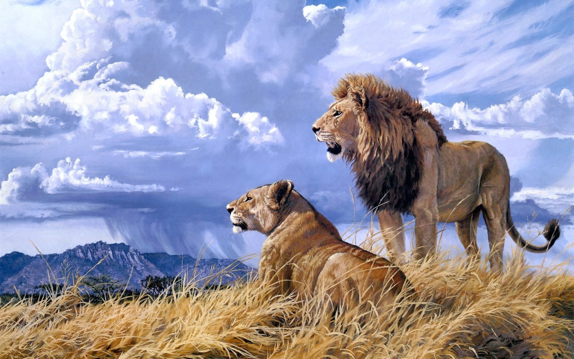 Samburu Majesty