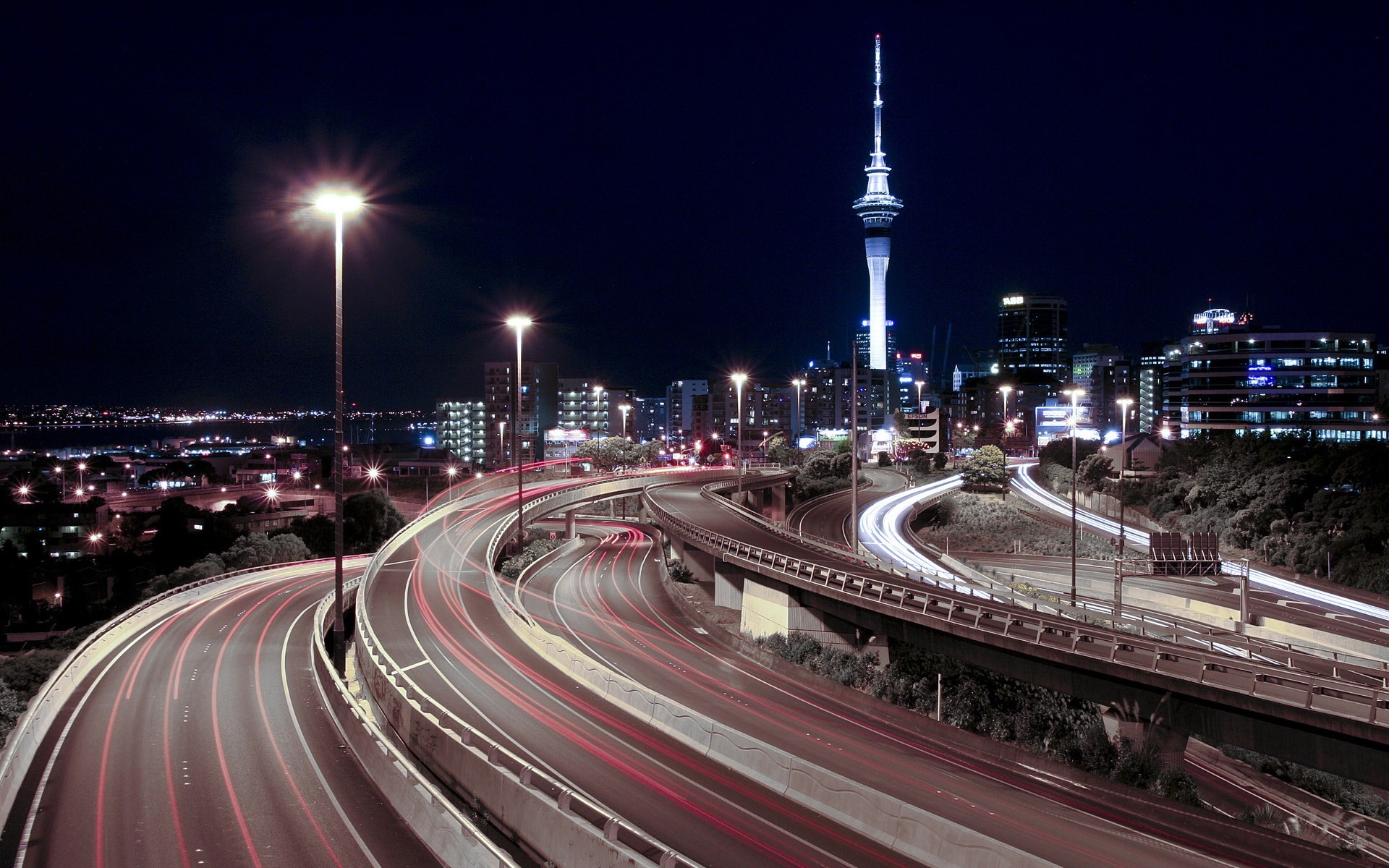 View of Auckland Sky Tower, New Zealand,