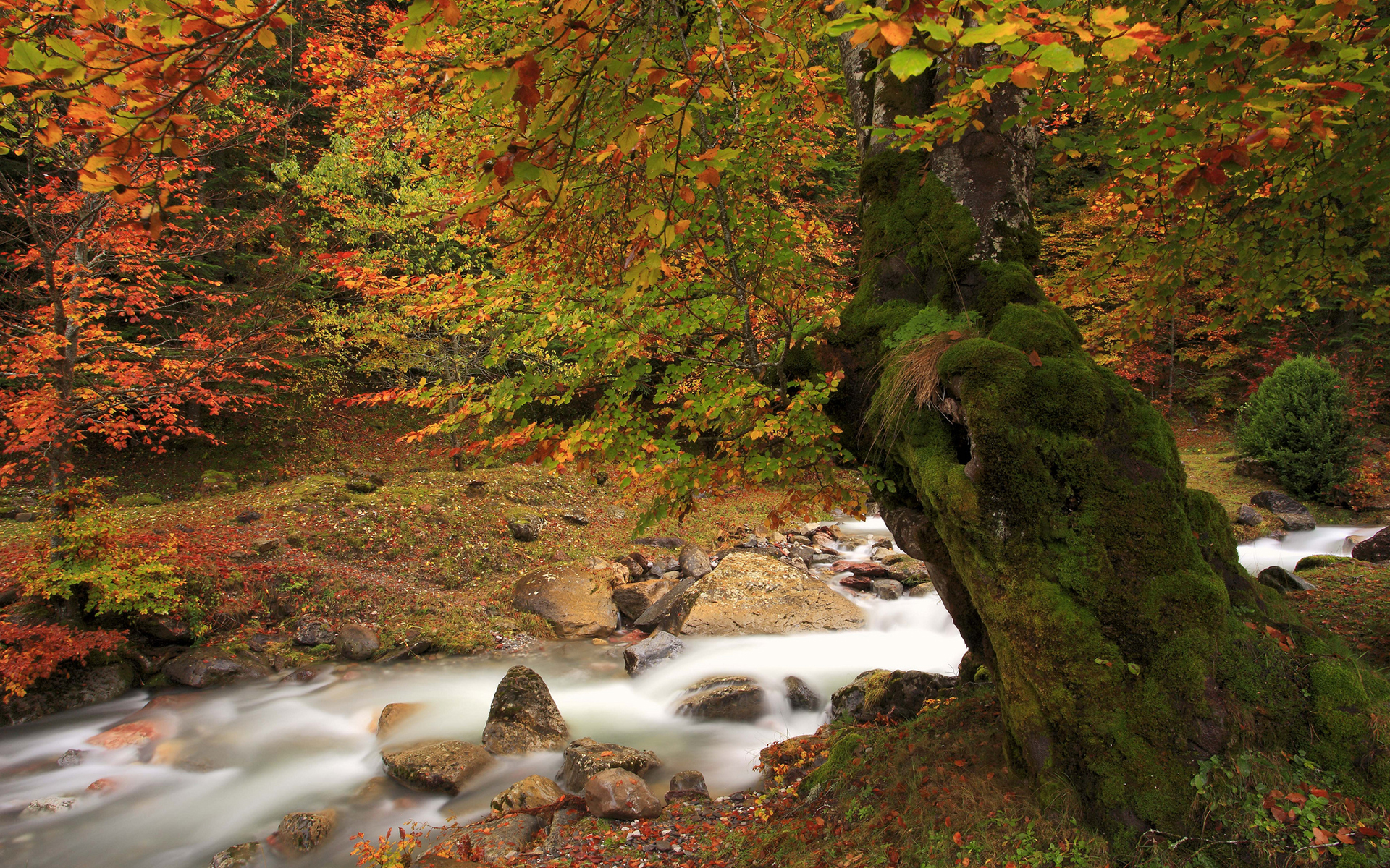 flows through autumn