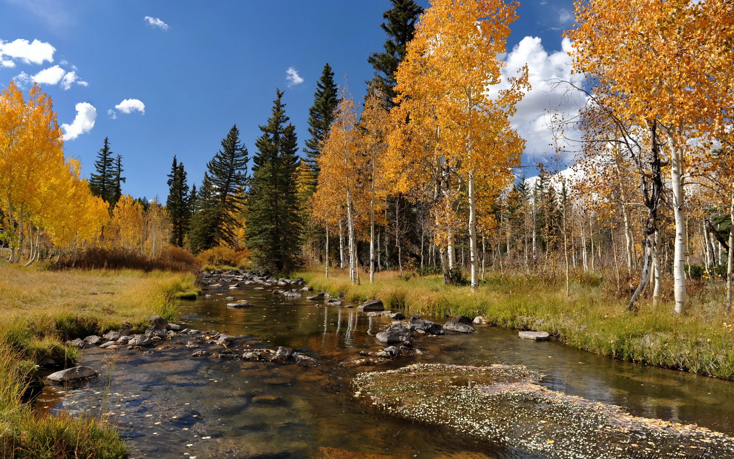 autumn scene - Desktop Wallpaper