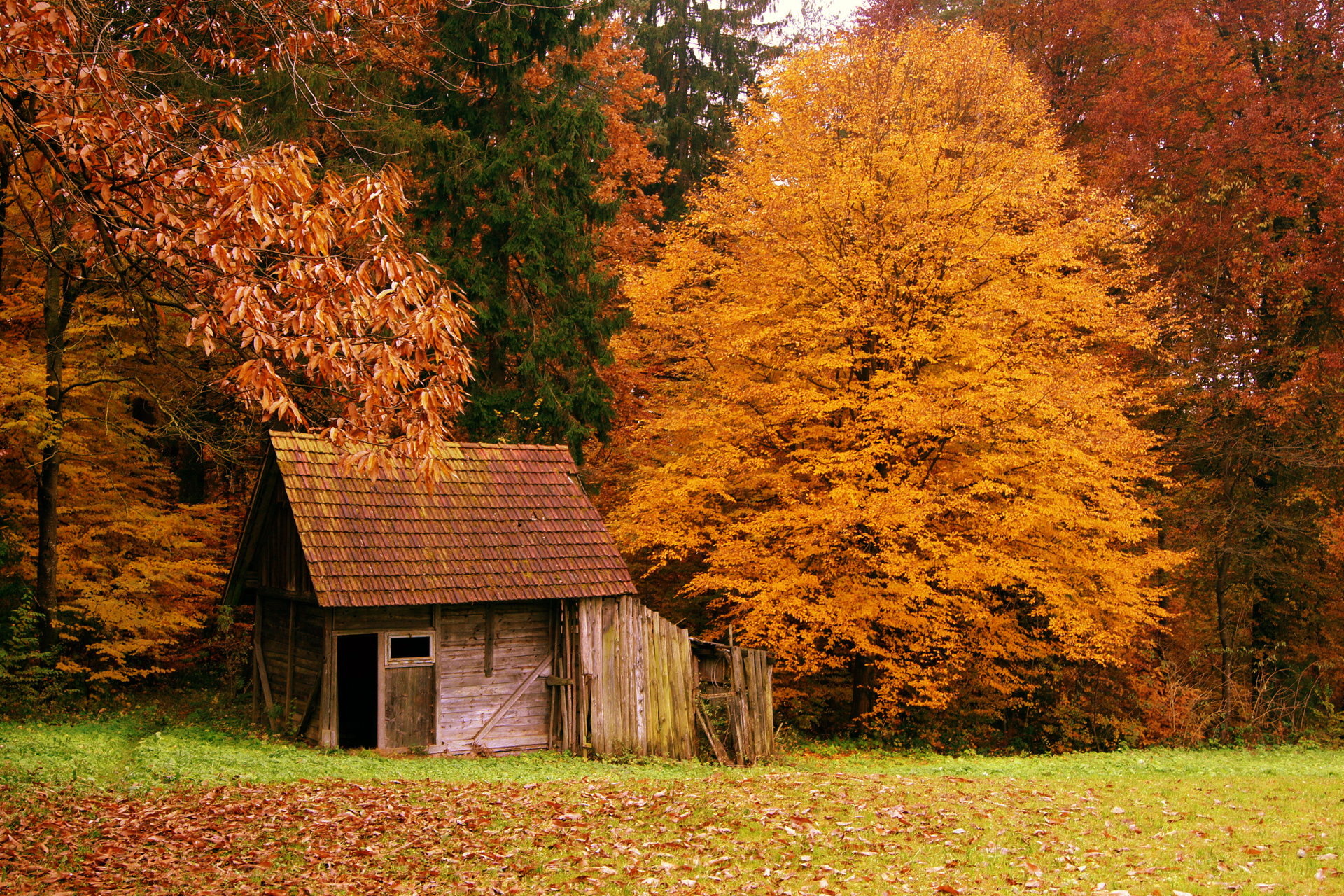 autumn scenes - Desktop Wallpaper