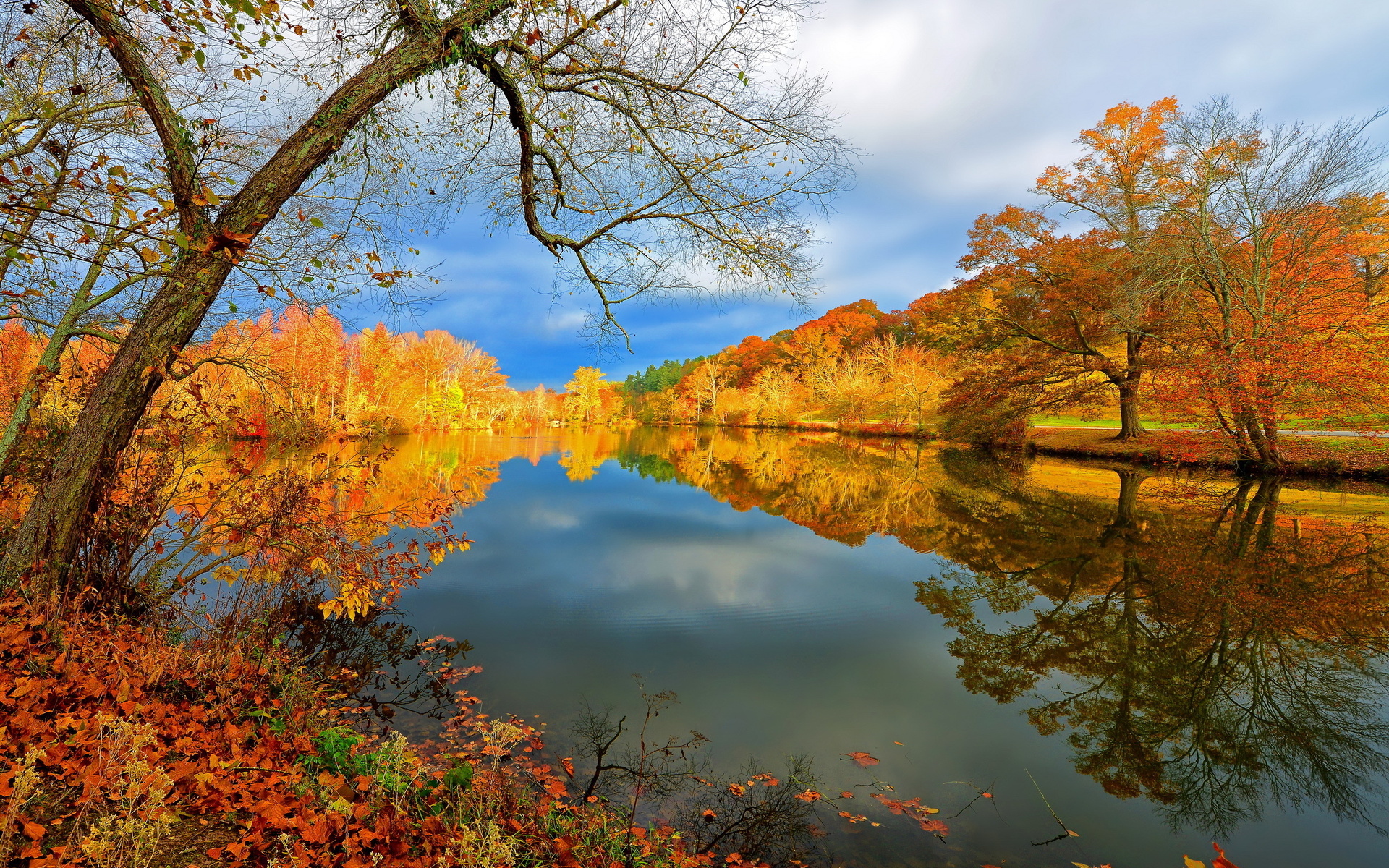 autumn reflections - Desktop Wallpaper