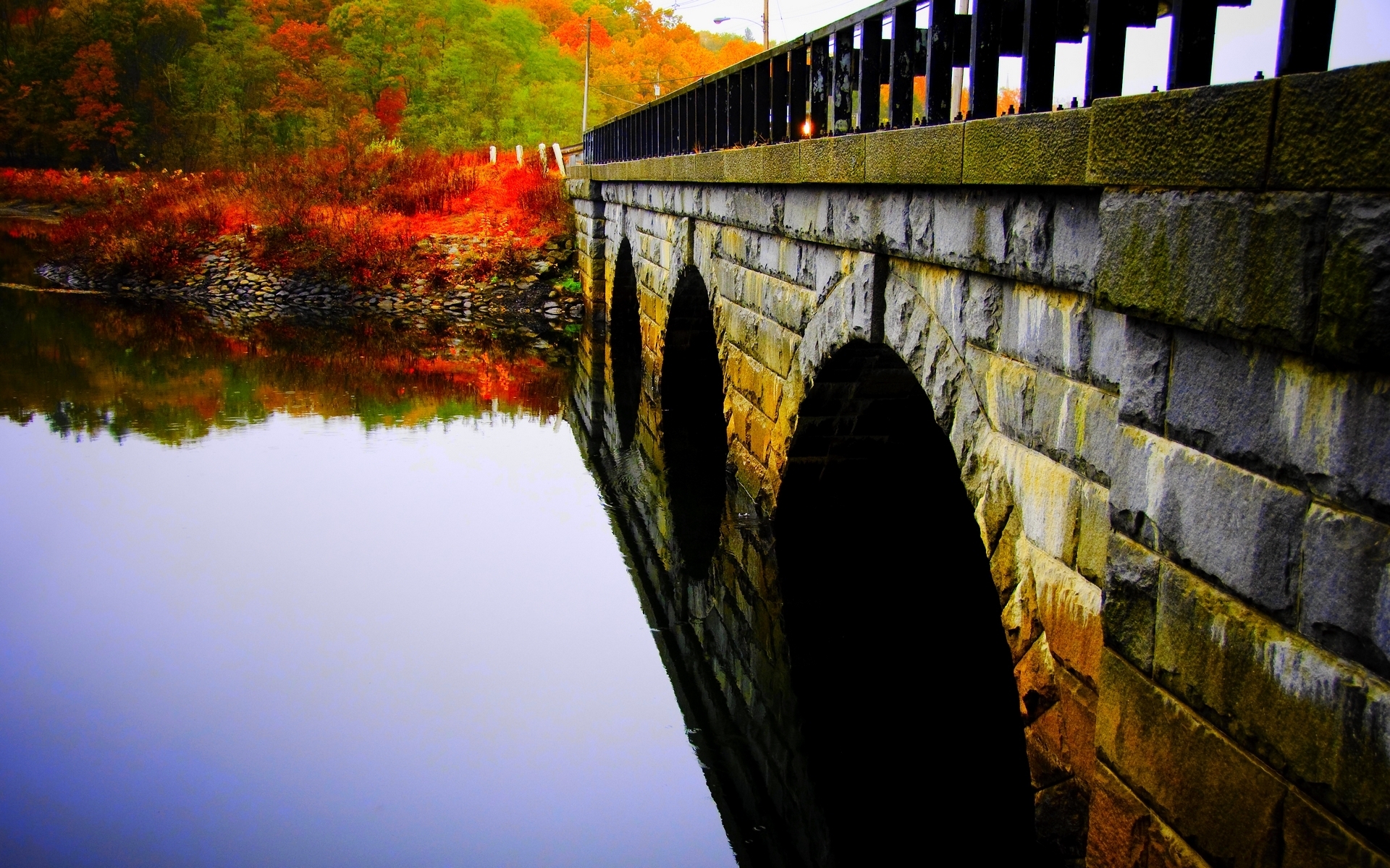 природа мост деревья река nature the bridge trees river бесплатно