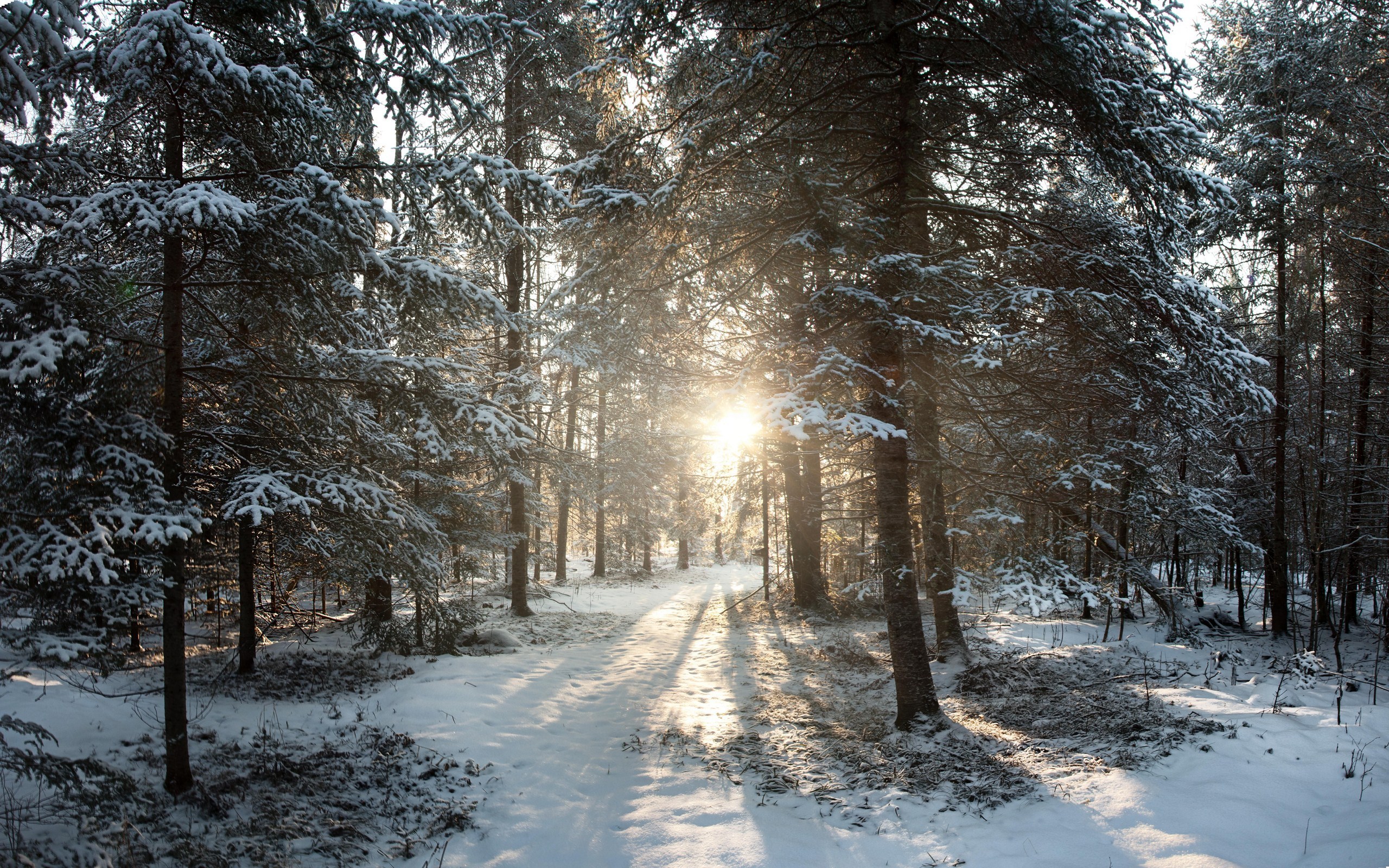 Wisconsin 'Winter Wonderland'