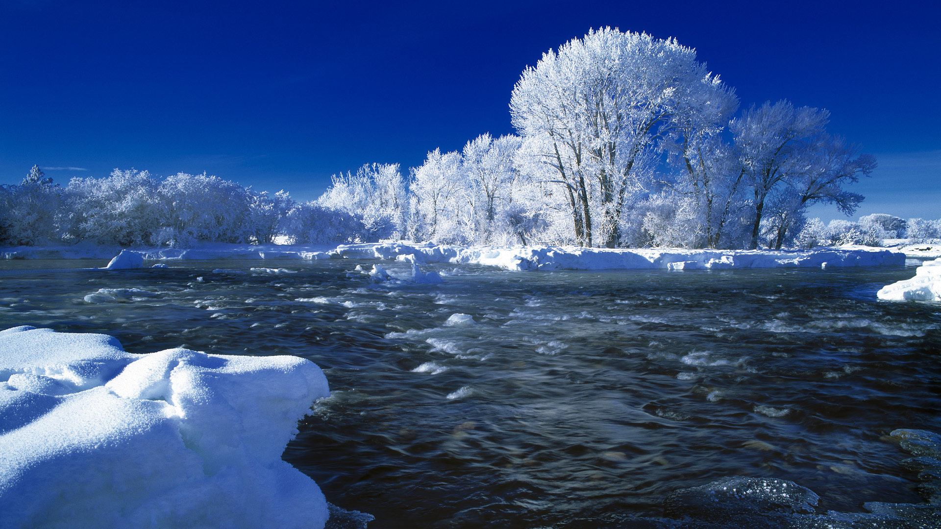 Winter In Idaho By Leland Howard Of Howard Fine Art HD Wallpapers Download Free Map Images Wallpaper [wallpaper376.blogspot.com]