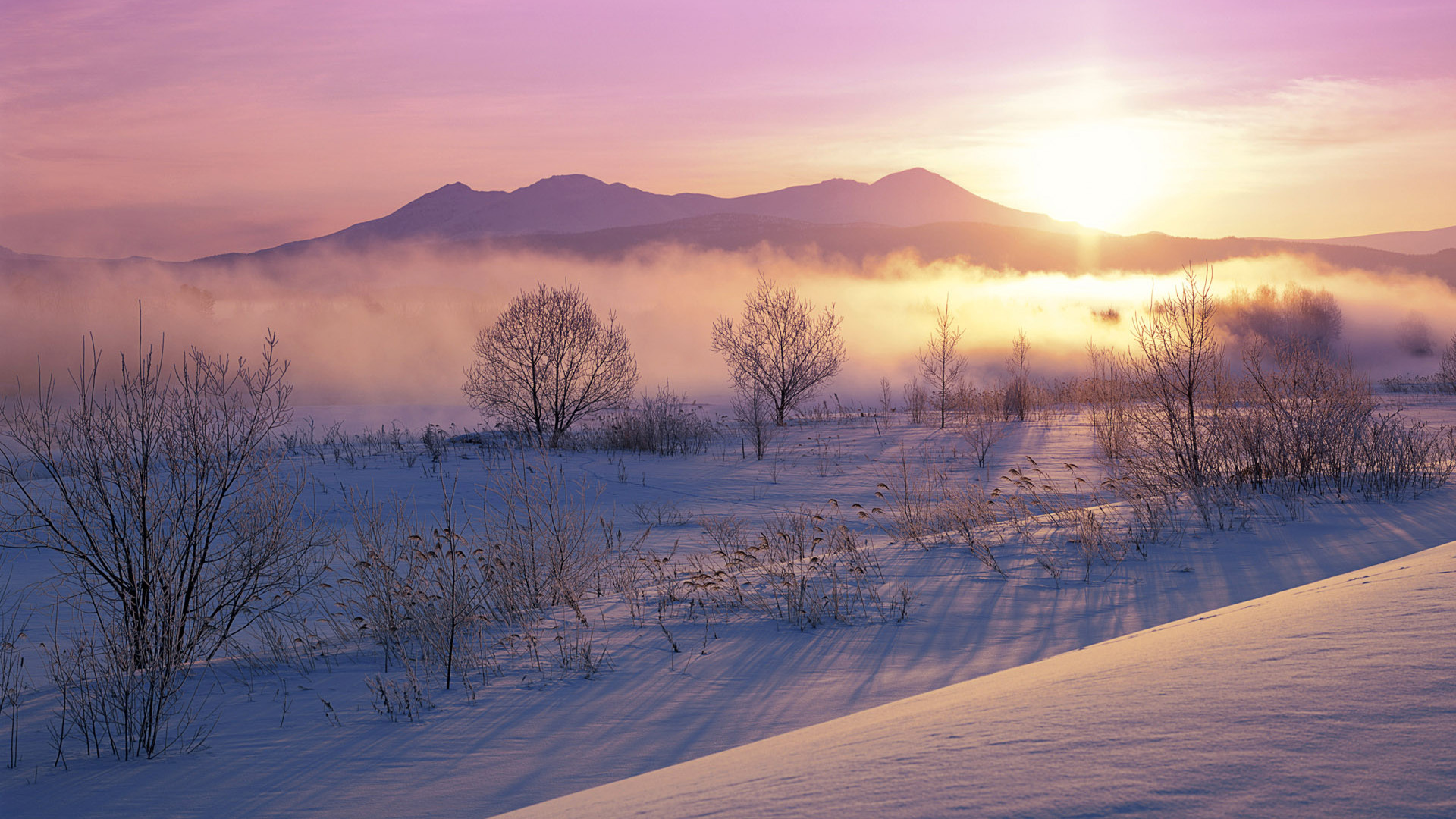 Snowy dawn landscape near Hokkaido, Japan