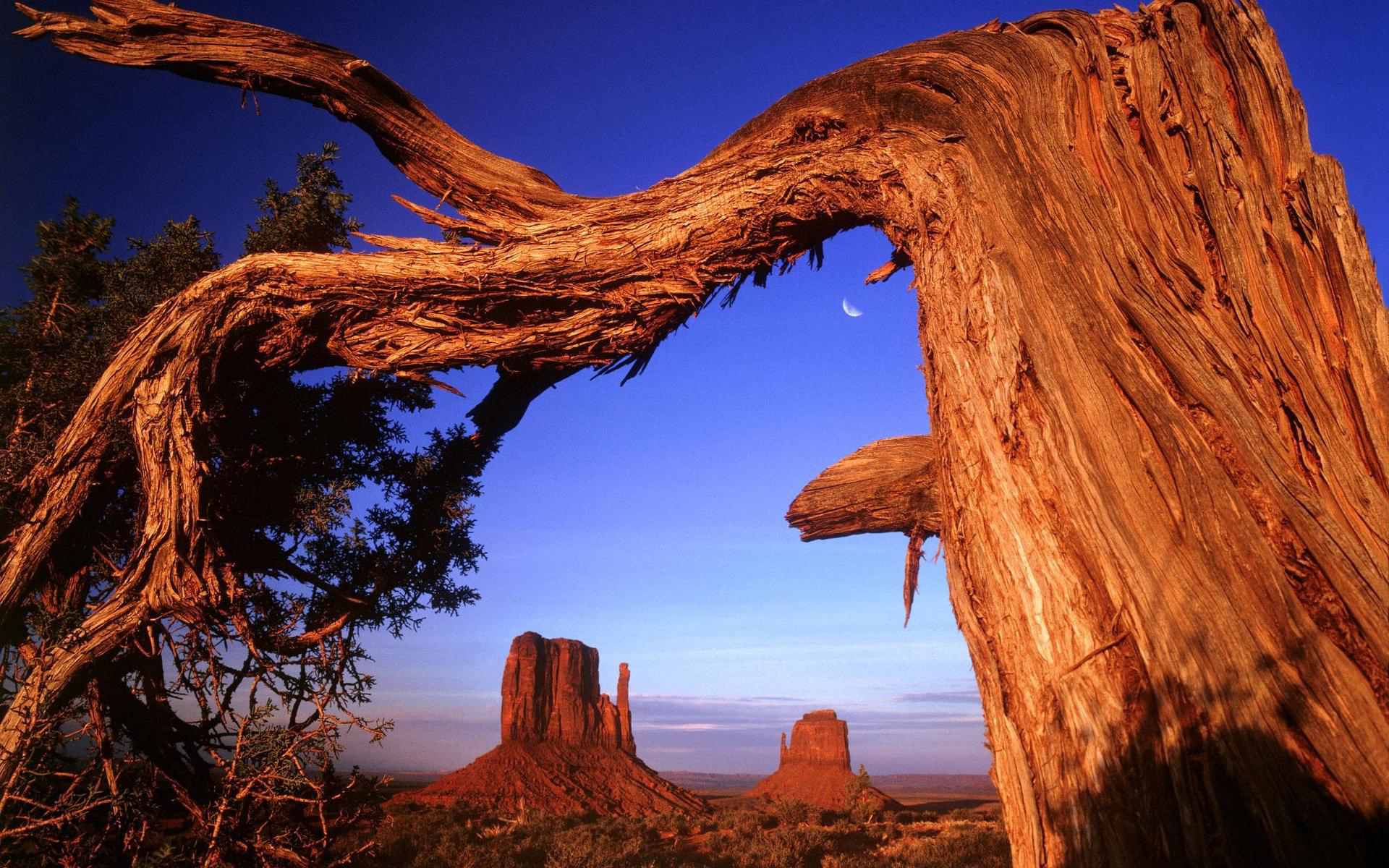 аризона скала пустыня Arizona rock desert без смс