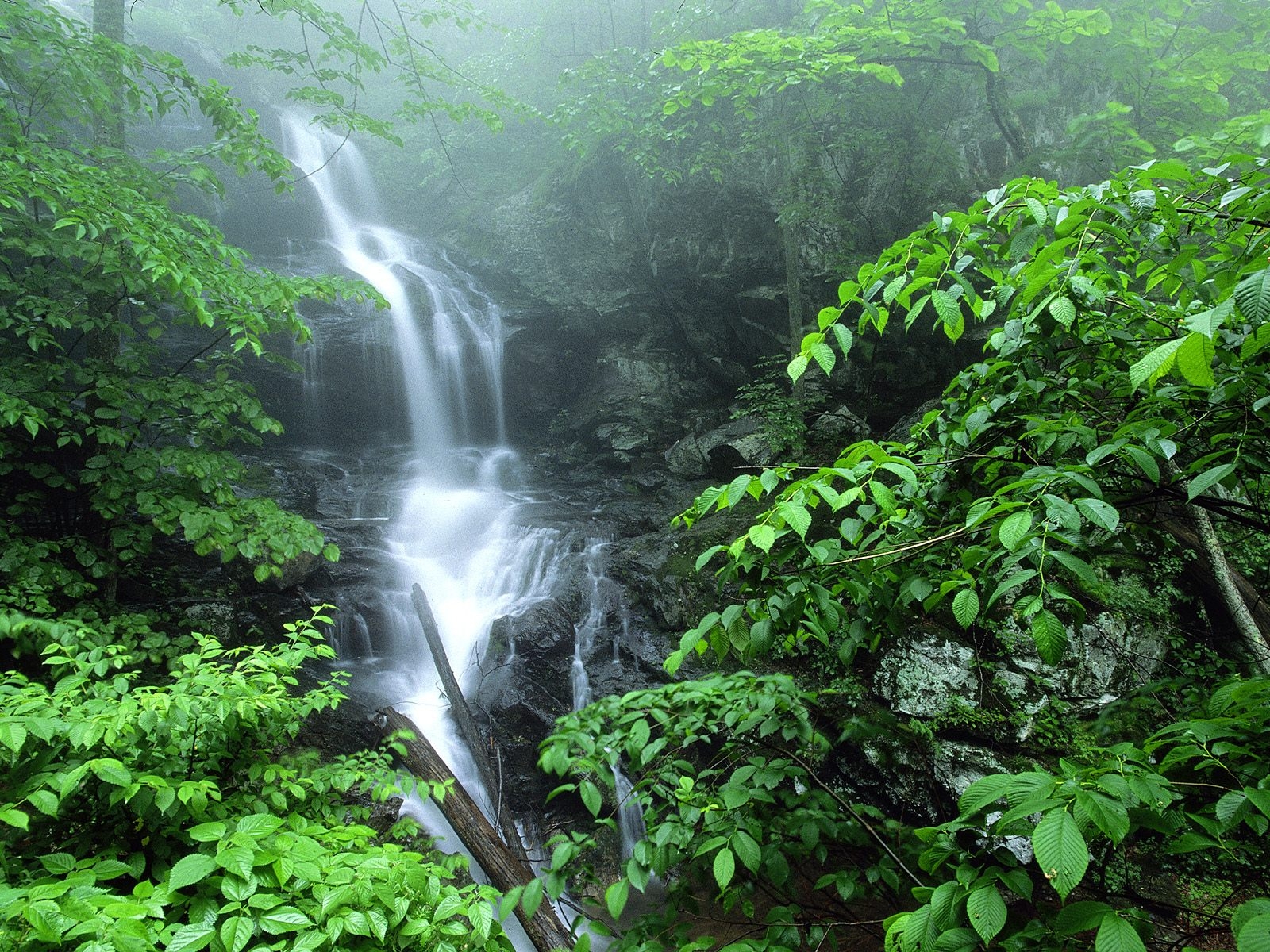 Lower Doyles River Falls Shenandoah National Park Virginia Lower Doyles River Falls Shenandoah National Park Virginia