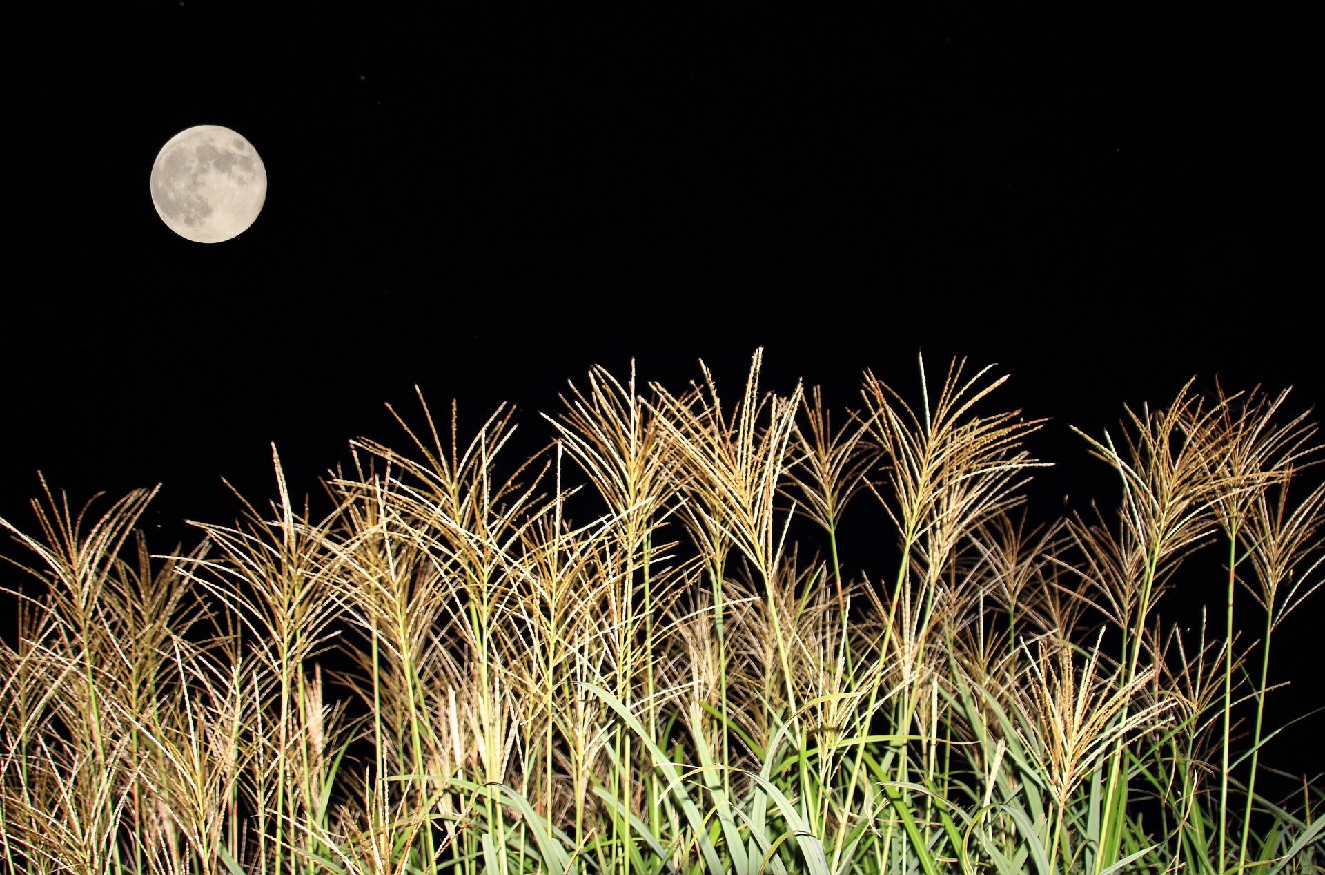 o - Desktop Wallpaper