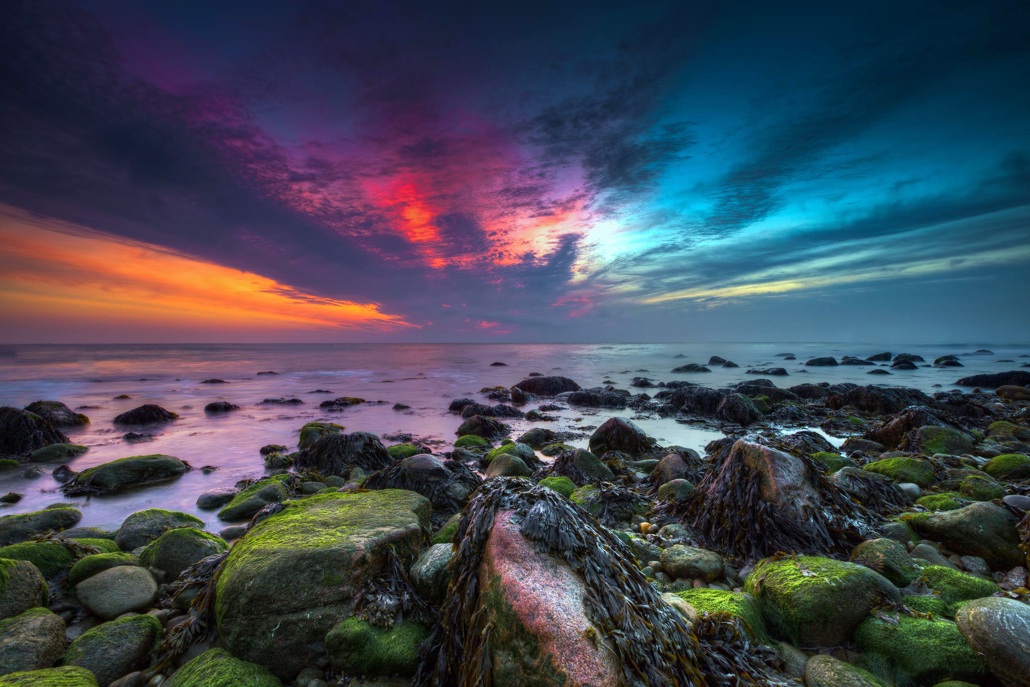 wallpaper Desktop Wallpaper