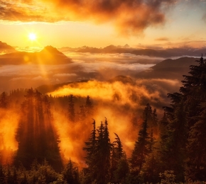 Page 93 of Desktop Wallpaper - Social Wallpapering