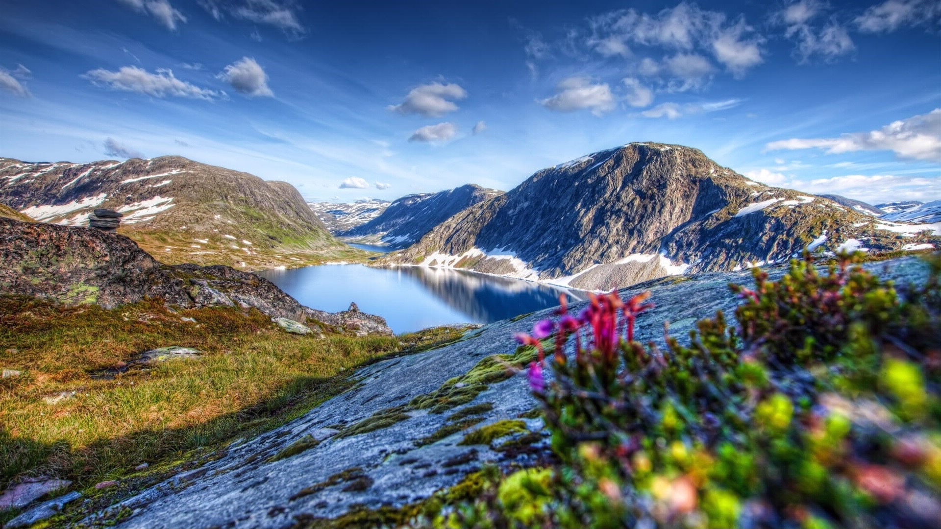 Wallpaper Desktop Wallpaper