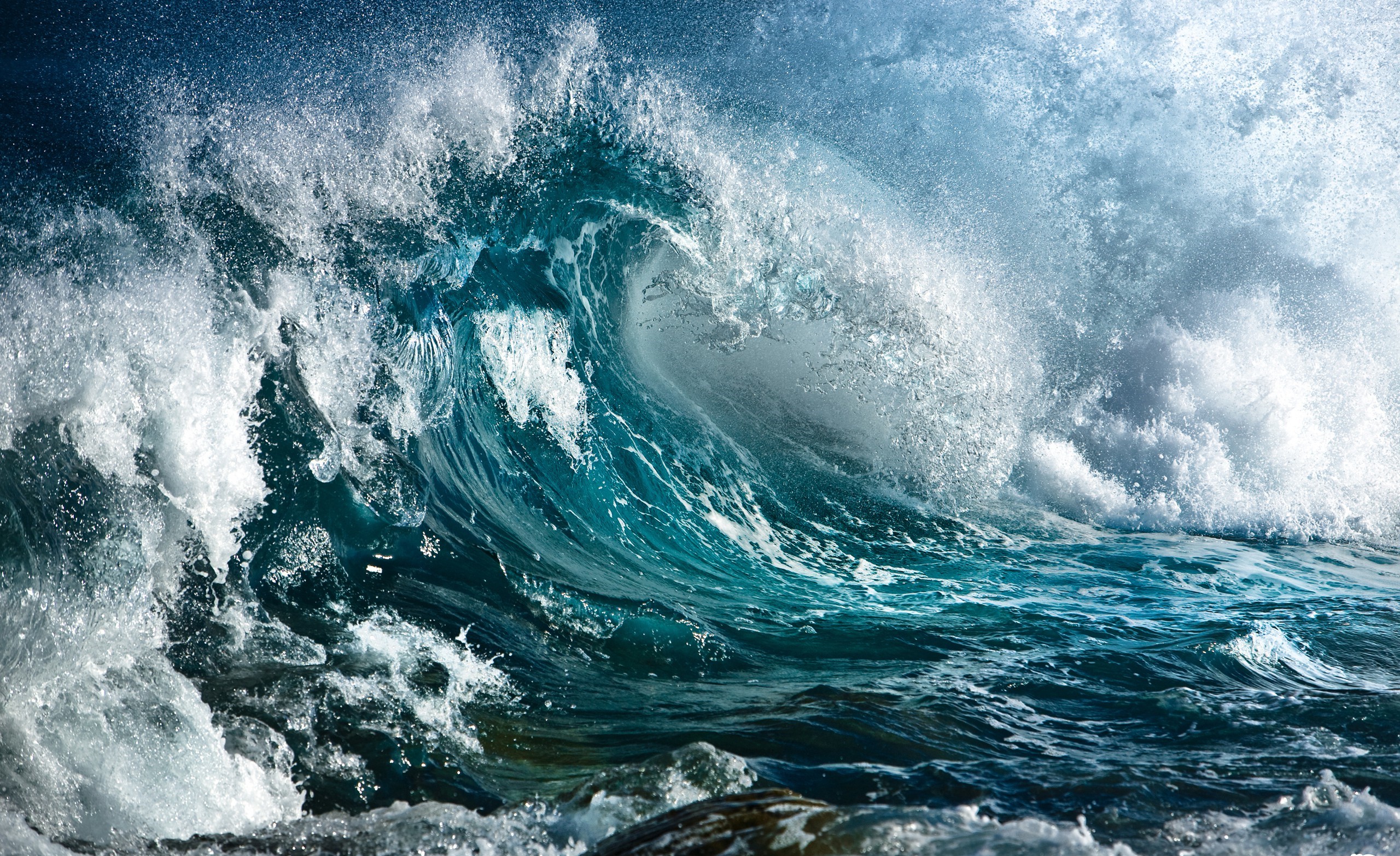 wet - Desktop Wallpaper