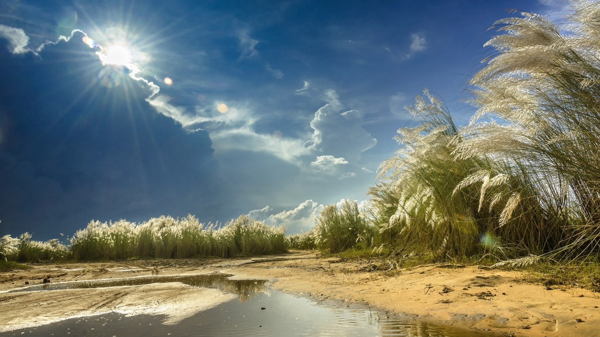 Wallpaper - Desktop Wallpaper