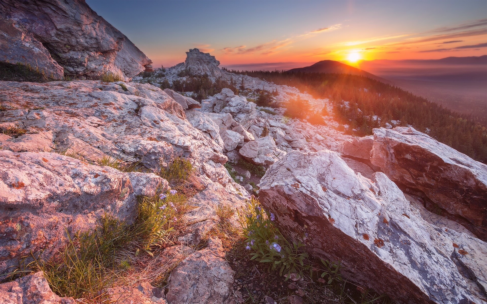 Wallpaper - Desktop Wallpaper