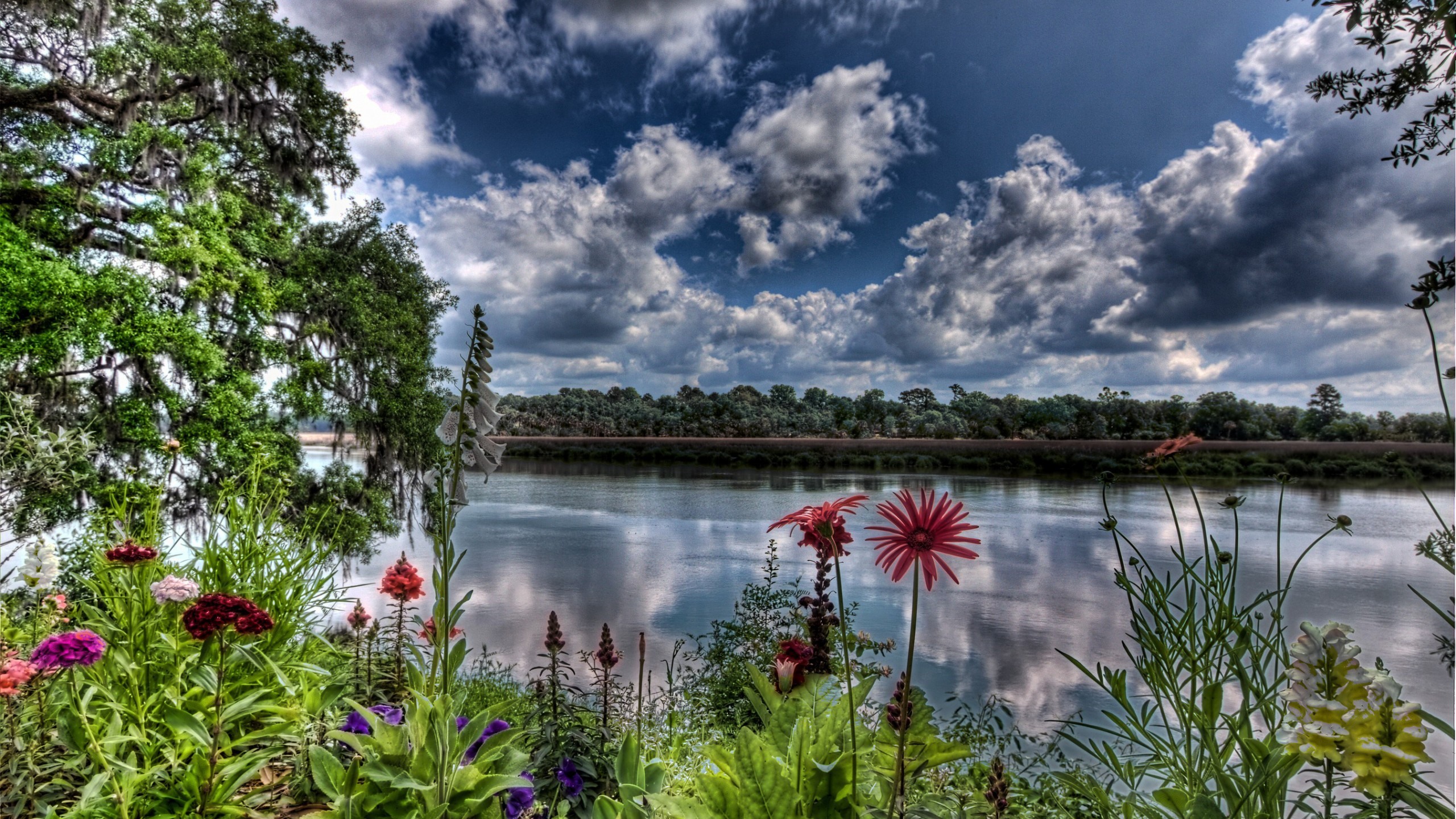 Wallpaper - Desktop Wallpaper